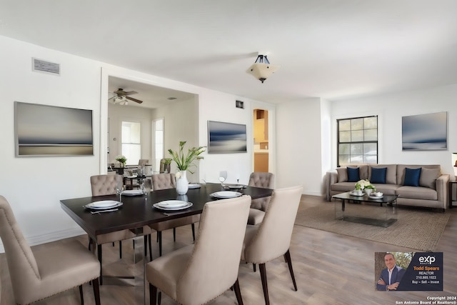 dining area featuring wood-type flooring, a wealth of natural light, and ceiling fan