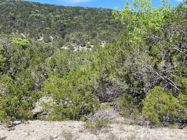 0 Bear Springs Rd, Pipe Creek TX, 78063 land for sale