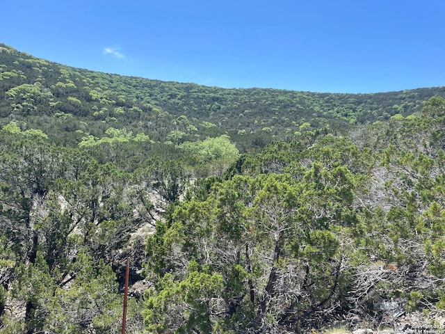 Listing photo 3 for 0 Bear Springs Rd, Pipe Creek TX 78063