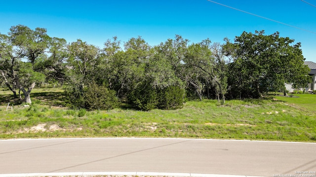 Listing photo 3 for 34856 Thanksgiving Trl, Bulverde TX 78163