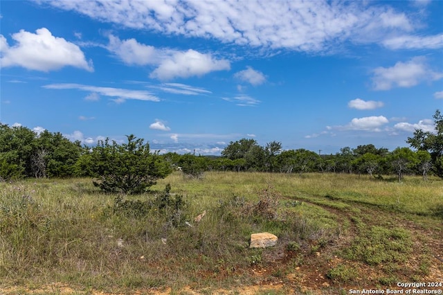 223 Peter Kleid, Blanco TX, 78606 land for sale