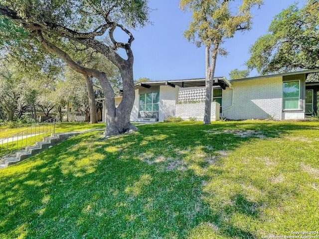 rear view of property with a yard