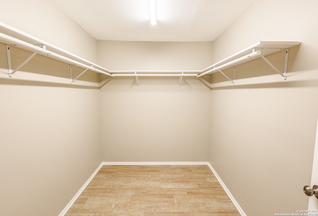 walk in closet with hardwood / wood-style flooring