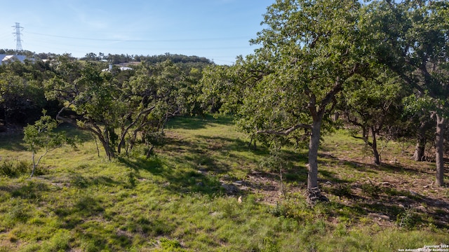 view of local wilderness