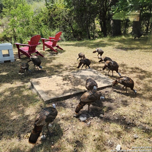 view of yard featuring a fire pit