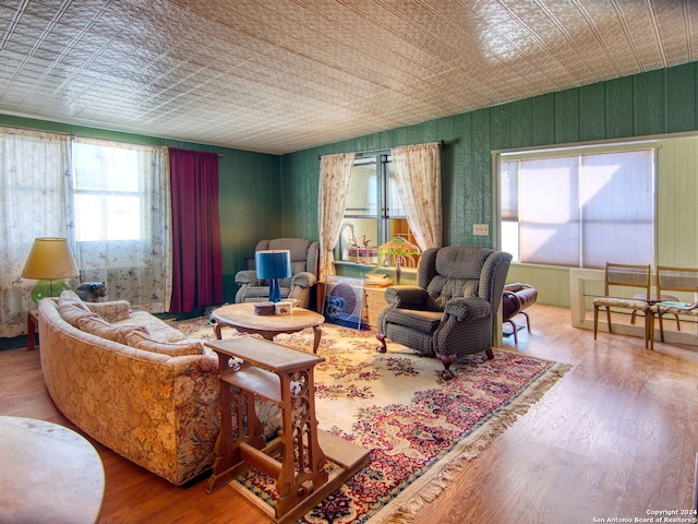 living room featuring wood-type flooring