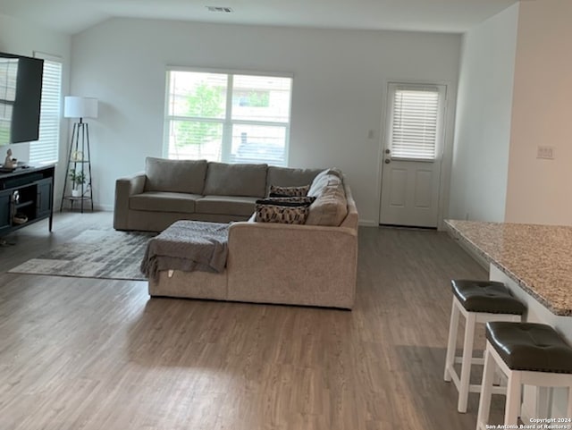 living room featuring hardwood / wood-style flooring