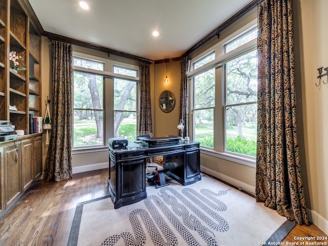 home office featuring a wealth of natural light and light hardwood / wood-style floors