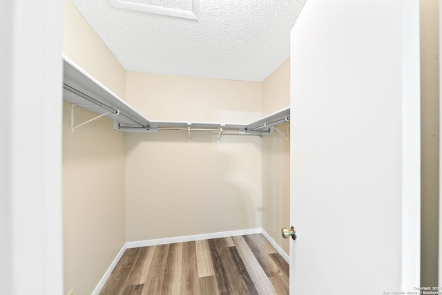 walk in closet with hardwood / wood-style flooring