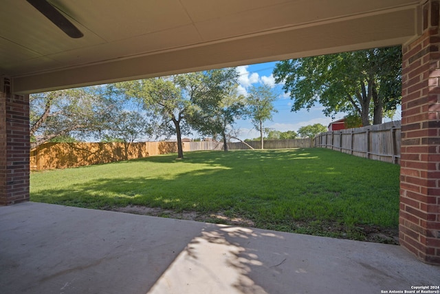 view of yard featuring a patio area