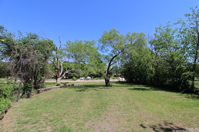 view of yard