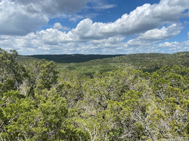 0 County Road 2751, Mico TX, 78056 land for sale