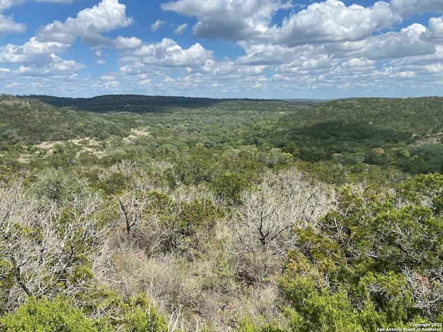 Listing photo 3 for 0 County Road 2751, Mico TX 78056