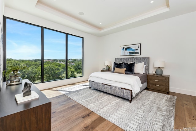 bedroom featuring light hardwood / wood-style flooring and a tray ceiling