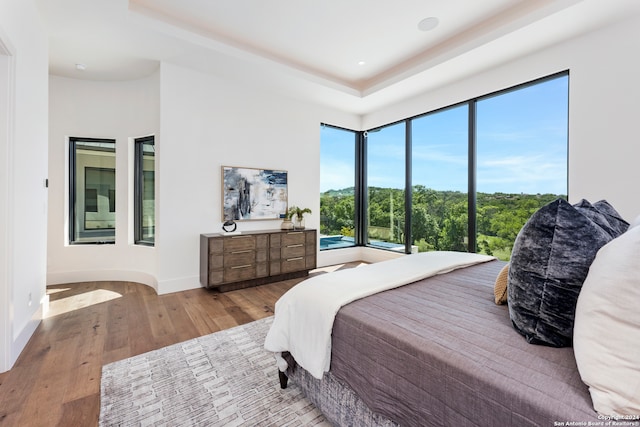 bedroom featuring light hardwood / wood-style floors