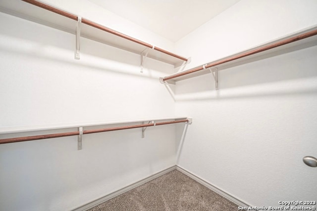 walk in closet with carpet flooring