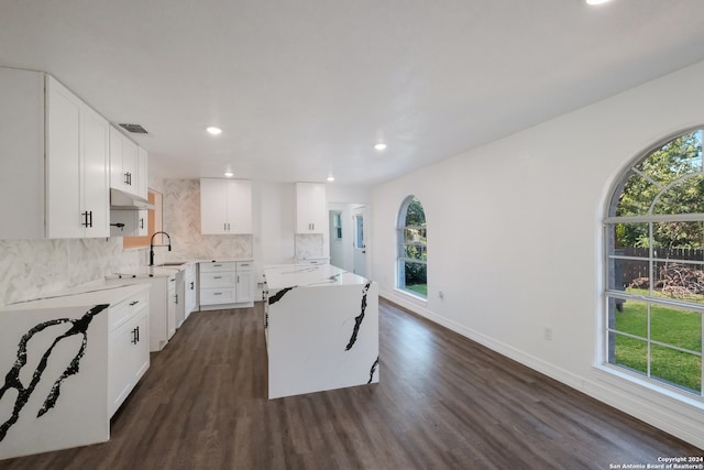 kitchen with a healthy amount of sunlight, dark wood-type flooring, and white cabinetry