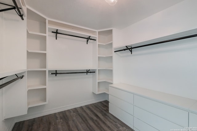 spacious closet with dark wood-type flooring