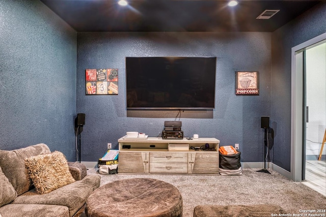 home theater with carpet