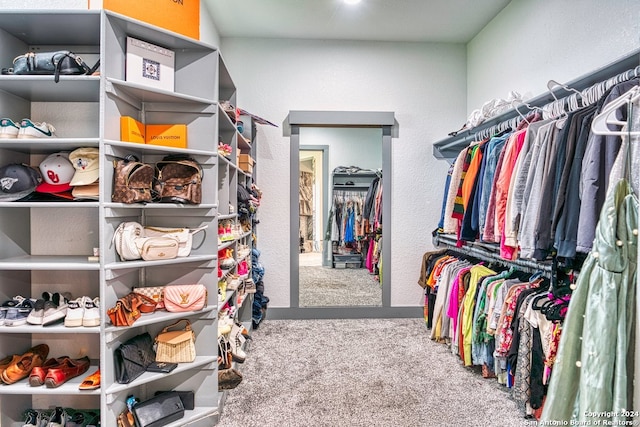 spacious closet with light carpet