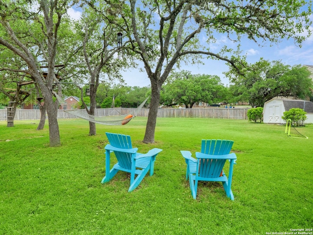 view of yard featuring a shed