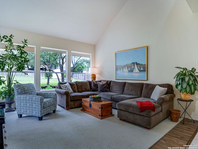 living room featuring high vaulted ceiling and wood-type flooring