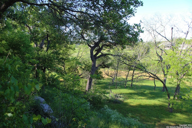 view of mother earth's splendor