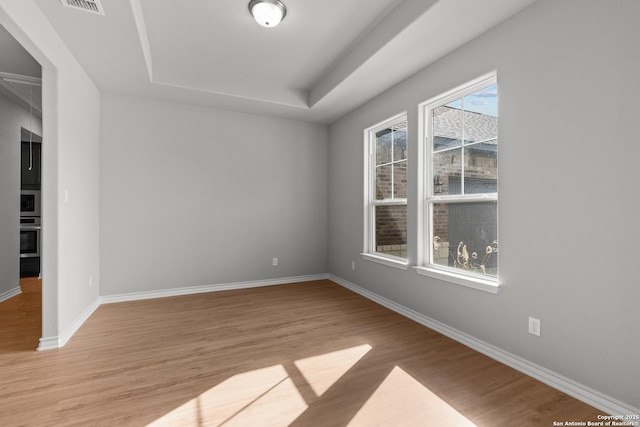 empty room featuring light hardwood / wood-style flooring, a raised ceiling, and a healthy amount of sunlight