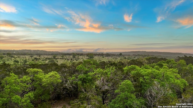 1147 Taylor Ranch Rd, Blanco TX, 78606 land for sale