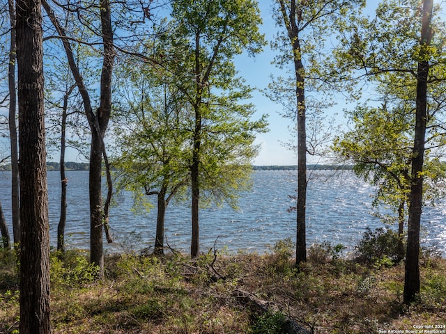 3108 Shadow Pine Dr, Larue TX, 75770 land for sale