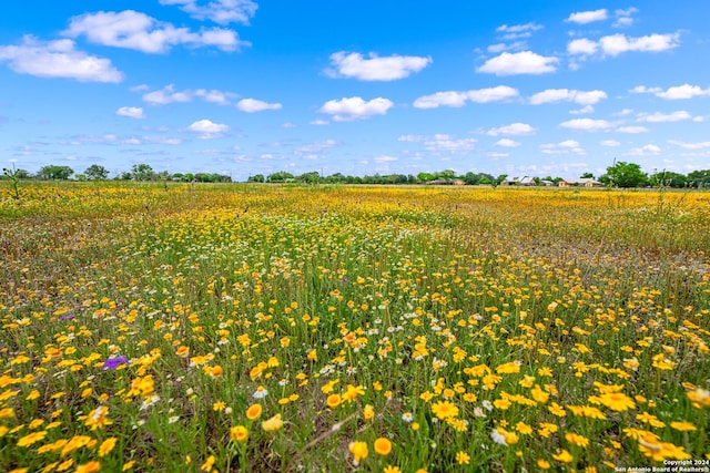 view of nature with a rural view