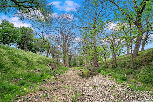 view of nature