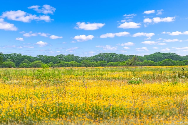 view of mother earth's splendor