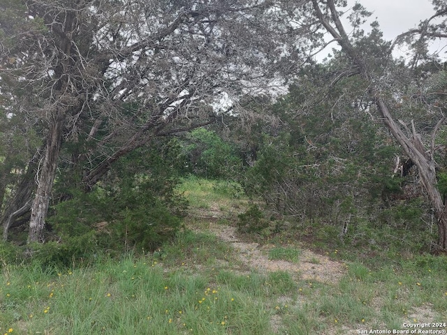 1253 Ramble Hls, Canyon Lake TX, 78133 land for sale