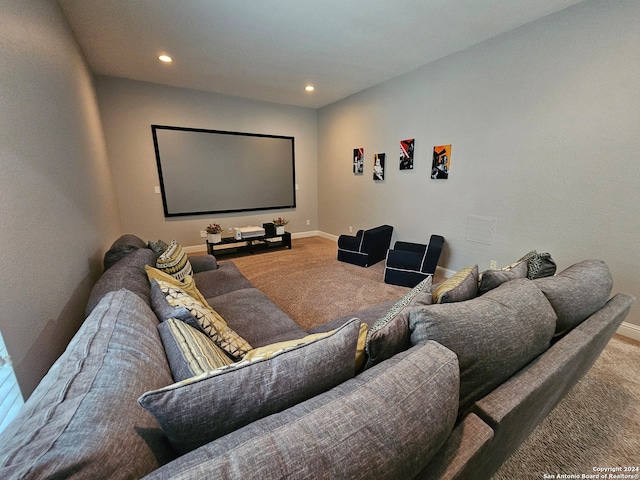 view of carpeted home theater