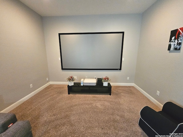 home theater with carpet flooring