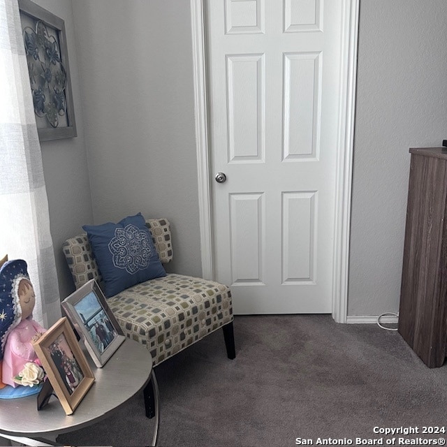 living area featuring dark colored carpet