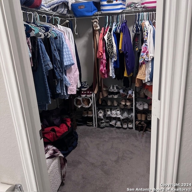 spacious closet featuring carpet floors