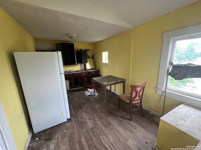 kitchen with sink, hardwood / wood-style flooring, and white fridge