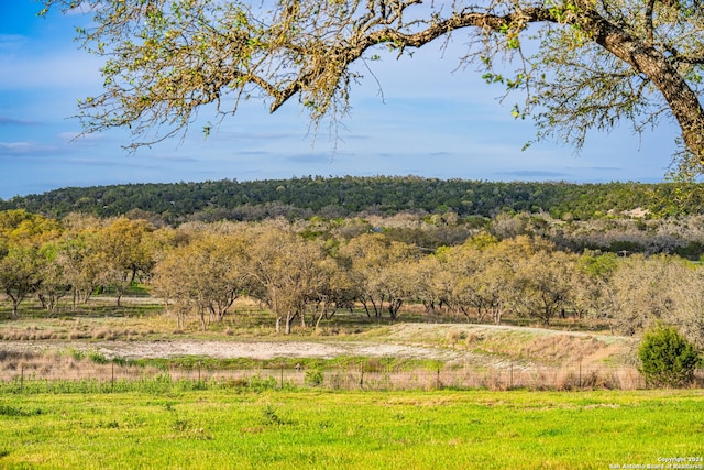 view of nature featuring a rural view