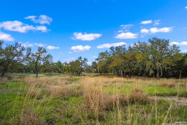 view of nature with a rural view