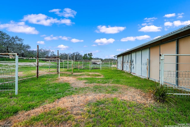 view of yard featuring a rural view