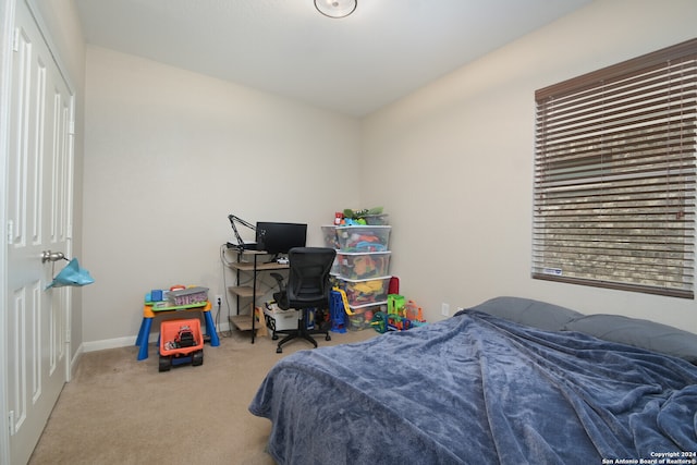 bedroom with carpet flooring