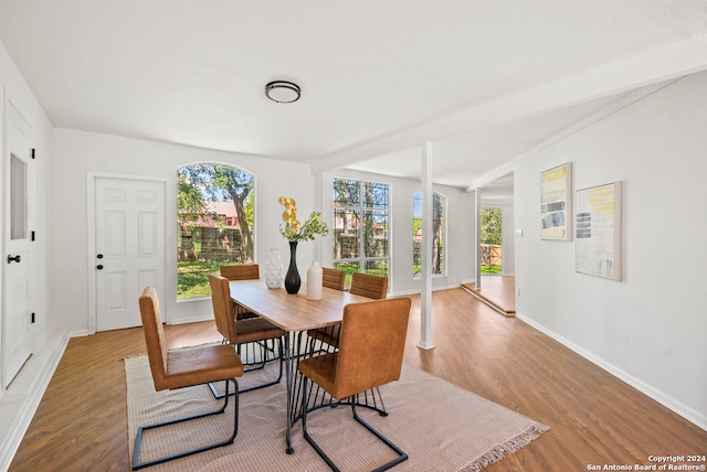 dining area featuring hardwood / wood-style floors