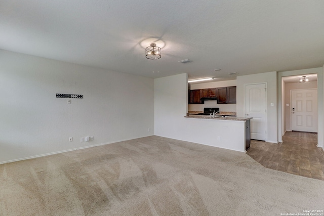 unfurnished living room with light carpet and sink