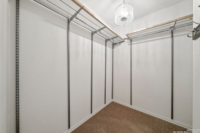 walk in closet featuring carpet and a notable chandelier