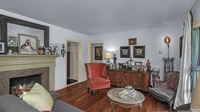 living room featuring hardwood / wood-style flooring and a premium fireplace