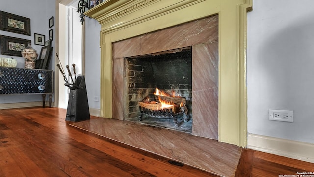 details featuring wood-type flooring and a high end fireplace