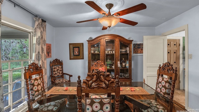 dining room with ceiling fan and hardwood / wood-style flooring