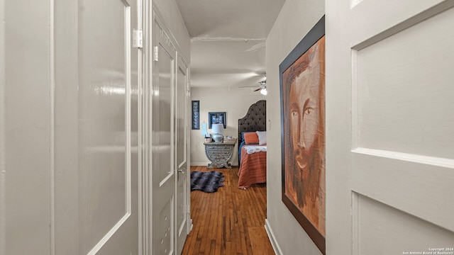 hallway featuring dark hardwood / wood-style floors